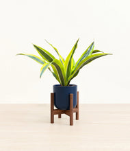 Load image into Gallery viewer, Twilight Blue stand:walnut