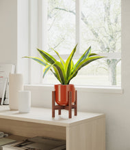 Load image into Gallery viewer, Glossy Red stand:walnut