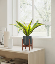 Load image into Gallery viewer, Iron Gray stand:walnut