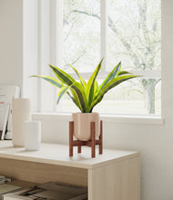 Load image into Gallery viewer, Sandy Pink stand:walnut