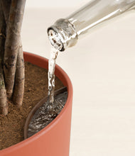 Load image into Gallery viewer, Earth Red stand:all