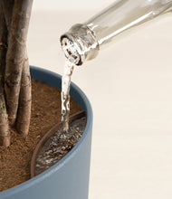 Load image into Gallery viewer, Iron Gray stand:all