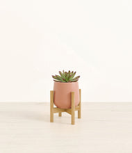 Load image into Gallery viewer, Calm Rose stand:bamboo