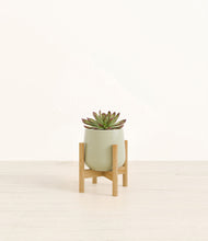 Load image into Gallery viewer, Turquoise stand:bamboo