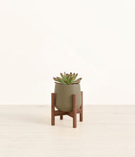 Load image into Gallery viewer, Olive stand:walnut