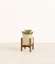Load image into Gallery viewer, Almond Green stand:walnut