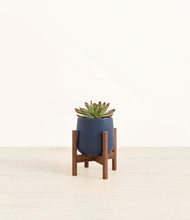 Load image into Gallery viewer, Deep Navy stand:walnut