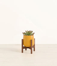 Load image into Gallery viewer, Mustard stand:walnut