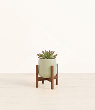 Load image into Gallery viewer, Turquoise stand:walnut