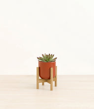 Load image into Gallery viewer, Glossy Red stand:bamboo