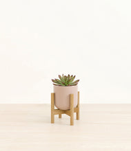 Load image into Gallery viewer, Sandy Pink stand:bamboo