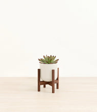 Load image into Gallery viewer, Cotton White stand:walnut