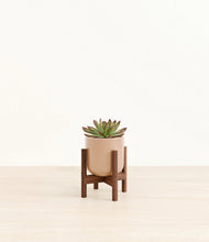 Load image into Gallery viewer, Glossy Pink stand:walnut