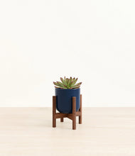Load image into Gallery viewer, Twilight Blue stand:walnut