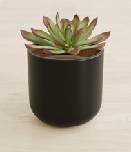 Load image into Gallery viewer, Stone Black stand:all