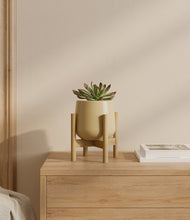Load image into Gallery viewer, Almond Green stand:bamboo