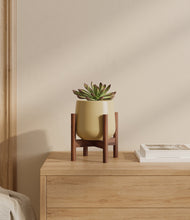 Load image into Gallery viewer, Almond Green stand:walnut