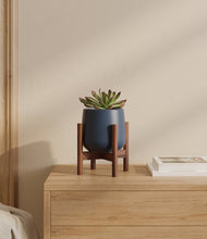 Load image into Gallery viewer, Deep Navy stand:walnut
