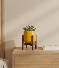 Load image into Gallery viewer, Mustard stand:walnut