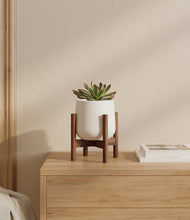 Load image into Gallery viewer, White stand:walnut
