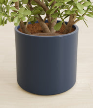Load image into Gallery viewer, Deep Navy stand:all
