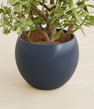 Load image into Gallery viewer, Deep Navy stand:all