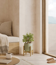Load image into Gallery viewer, Turquoise stand:bamboo