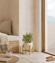 Load image into Gallery viewer, Shiny EggWhite stand:bamboo