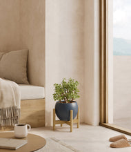 Load image into Gallery viewer, Deep Navy stand:bamboo