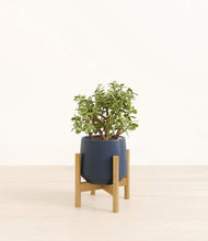 Load image into Gallery viewer, Deep Navy stand:bamboo