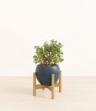 Load image into Gallery viewer, Deep Navy stand:bamboo