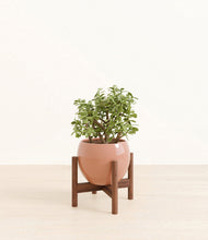 Load image into Gallery viewer, Calm Rose stand:walnut