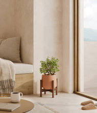 Load image into Gallery viewer, Calm Rose stand:walnut