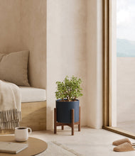 Load image into Gallery viewer, Deep Navy stand:walnut