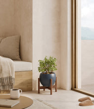 Load image into Gallery viewer, Deep Navy stand:walnut