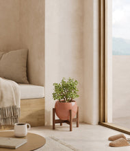 Load image into Gallery viewer, Calm Rose stand:walnut