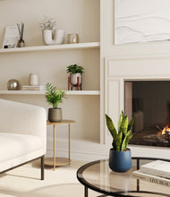 Load image into Gallery viewer, Winding River stand:one_stand