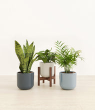 Load image into Gallery viewer, Pebble Shore stand:one_stand