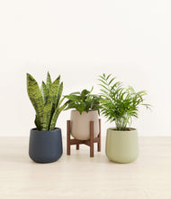 Load image into Gallery viewer, Winding River stand:one_stand