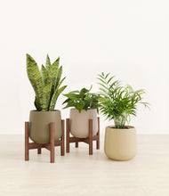 Load image into Gallery viewer, Woodland stand:two_stands