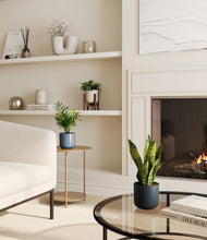 Load image into Gallery viewer, Pebble Shore stand:one_stand