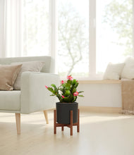 Load image into Gallery viewer, -