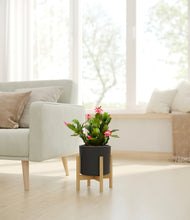 Load image into Gallery viewer, -