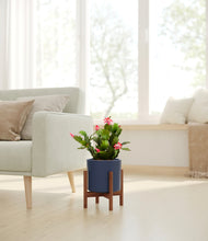 Load image into Gallery viewer, -