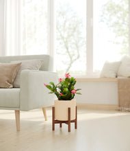 Load image into Gallery viewer, -