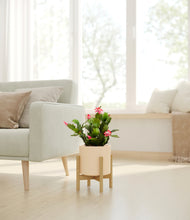 Load image into Gallery viewer, -