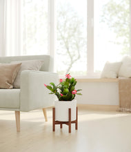 Load image into Gallery viewer, -