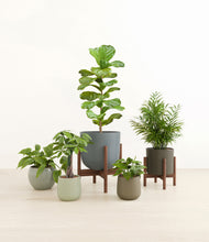 Load image into Gallery viewer, Countryside stand:two_stands