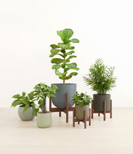 Load image into Gallery viewer, Countryside stand:three_stands