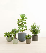 Load image into Gallery viewer, Countryside*****Profile